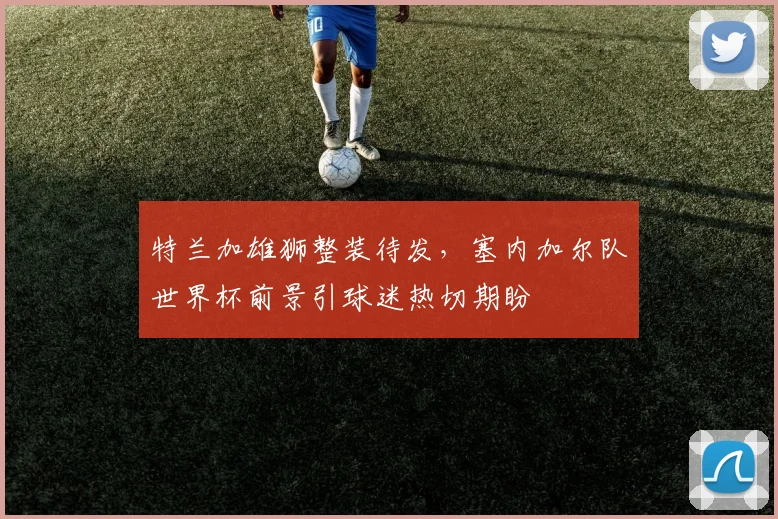 特兰加雄狮整装待发，塞内加尔队世界杯前景引球迷热切期盼 - 竞彩网推荐