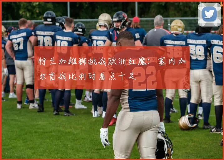 特兰加雄狮挑战欧洲红魔:塞内加尔首战比利时看点十足 - 竞彩网推荐