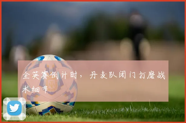 全英赛倒计时，丹麦队闭门打磨战术细节 - 竞彩网推荐