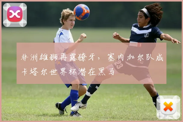 非洲雄狮再露獠牙,塞内加尔队成卡塔尔世界杯潜在黑马 - 竞彩网推荐
